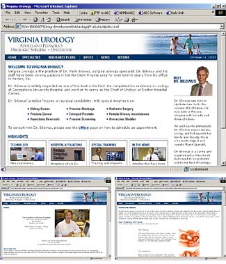 Vauro website screenshot